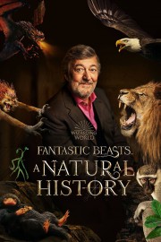 Watch free Fantastic Beasts: A Natural History movies online