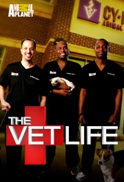 Watch free The Vet Life movies online