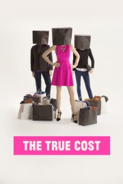 Watch free The True Cost movies online