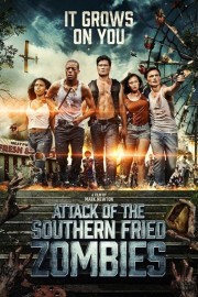 Watch free Attack Of The Southern Fried Zombies movies online