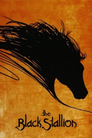 Watch free The Black Stallion movies online