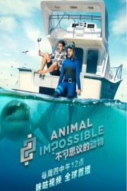 Watch free Animal Impossible movies online