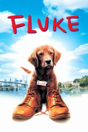 Watch free Fluke movies online