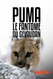 Watch free Puma, le fantôme du Gévaudan movies online