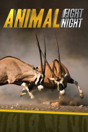 Watch free Animal Fight Night movies online