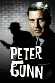 Watch free Peter Gunn movies online