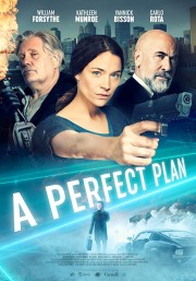 Watch free A Perfect Plan movies online