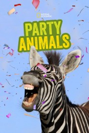 Watch free Party Animals movies online