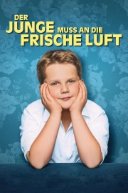 Watch free Der Junge muss an die frische Luft movies online