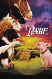 Watch free Babe movies online