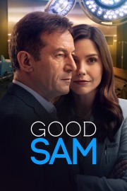 Watch free Good Sam movies online