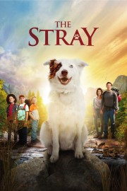 Watch free The Stray movies online