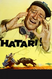 Watch free Hatari! movies online